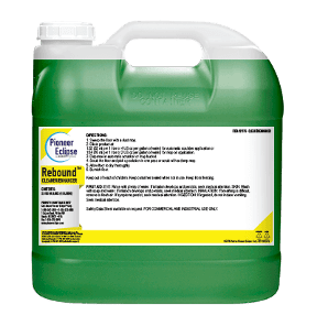 Pioneer Eclipse product